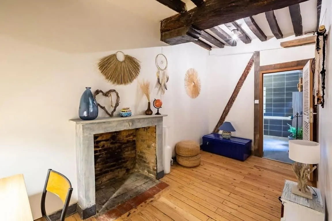 Le JACOBIN appartement de standing - Hyper centre Rennes France
